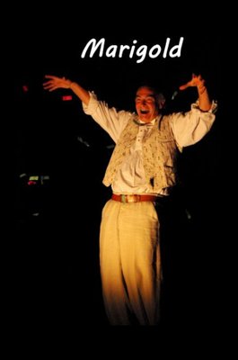 Marigold
